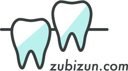 zubizun.com